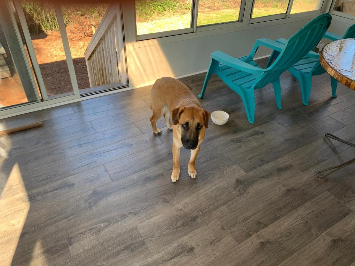 Briar Creek Rd Bnb Charlotte Buitenkant foto